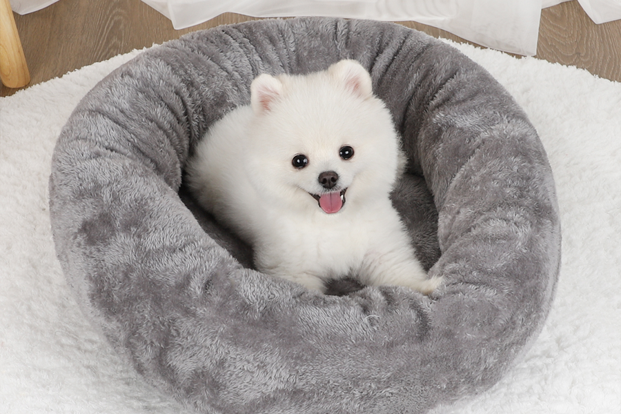 pet air dryer box
